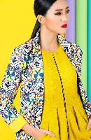 hysn20140121