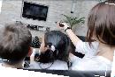 haiz20130804