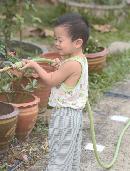 haiz20140408