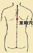 jskx20130929