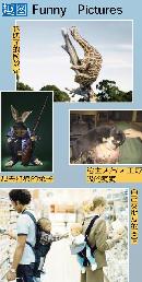 jskx20131157