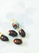 jskx20140335