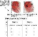 jcfy20131721