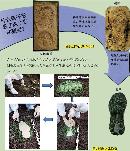 jcfy20132113