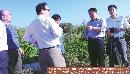 jcfy20132340