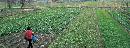 jcfy20140223