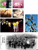 jcfy20140241