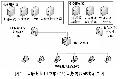jsjs20130705