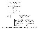 jsjs20131113