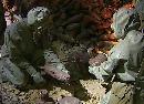 jswz20131109