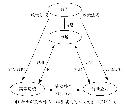 kxyc20131041