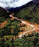 liyu20130707