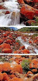 liyu20130707