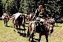 liyu20130711