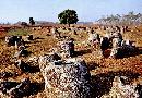 liyu20130715