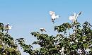 liyu20130803