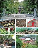 liyu20130804
