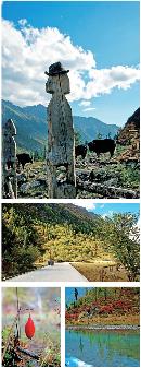 liyu20130805