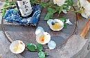 liyu20130811