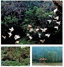 liyu20130823