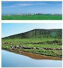 liyu20130826
