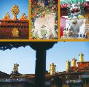 liyu20131116