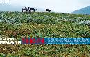 liyu20131120