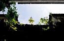 minp20130817