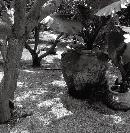minp20130822