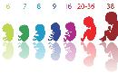 mzjk20131017