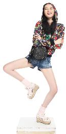nbss20130605