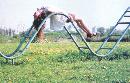 nbss20130706