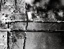 ndzk20133013