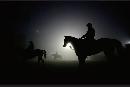 nfrw20123909