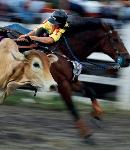 nfrw20133507