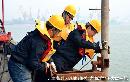 rmlt20132228