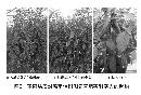 vege20130803