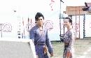 sdys20132205