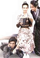 sdys20132205