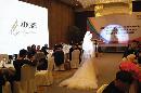 spsh20140202