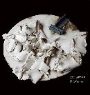 todc20130819