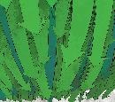 tzlc20131611