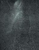tzzb20133120