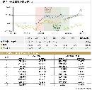tzzb20134303