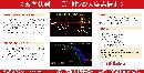 tzzb20134603