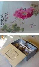 tzzb20134916