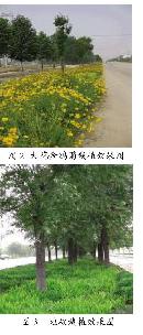 xdyu20131754