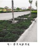 xdyu20131754