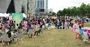 xmbe20131013