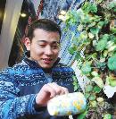 xmbe20131309